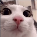 PickleBois-PickleBoisModpack icon