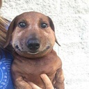 Pigooz-RoozModpack icon