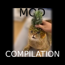 Pineapple_Cat-The_Pineapple_Cat_Mod_Compilation icon