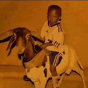 PinguinosUnidos-Vitol_mopac icon