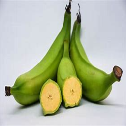 PissInACup-Coral icon