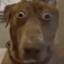 PlaceholderTextn47-GoofySillyModpackForModdingPacks icon