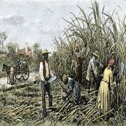 Plantation-HardasModpack icon