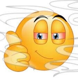 PleinsLesFouilles-SoupeAlaMerde icon