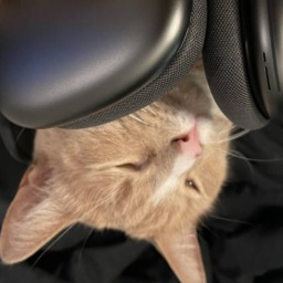 Podcat-PodcatInsanty icon