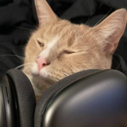 Podcat-PodcatPerformance icon