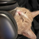 Podcat-PodcatQOL icon