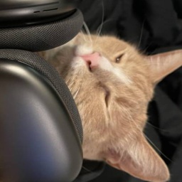 Podcat-PodcatQOL icon