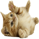 Polarbrr-PolarsHeavilyModdedPack icon