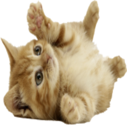 Polarbrr-PolarsHeavilyModdedPack icon