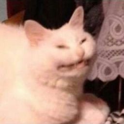 Polaris-ToeSuckersFun icon