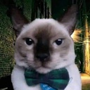 PolioVaccine-Cool_Grandma_Mix icon