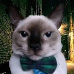 PolioVaccine-Cool_Grandma_Mix icon