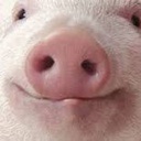 PolsoRaiders-PolsoRaiders_Modpack icon