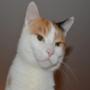 PolyFamilie-Eiffelturm icon