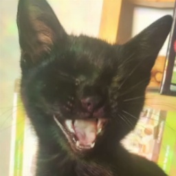 Porby-PorbyPack icon