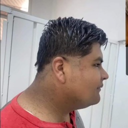 Posaders-Verde_MOd_Pack icon