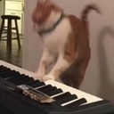 Prison_Gang-Prison_Gang_Bangers icon