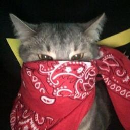 Psychopaci-Psychopaci icon