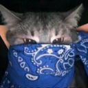 Public_Bathroom-PB_REPO_Modpack icon