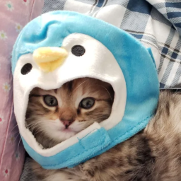 PuffyDucks-LunasMixtape icon