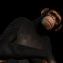 PuggerdGroup-CrawlingChimps icon