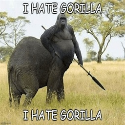 Punctual_Gorillas-SilverBack_achievement icon