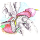 PuntaUmbria-Punta_Umbria_UGU icon