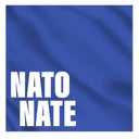 Pykkle-NATONate icon