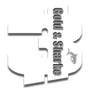 PyroBoom-GoldAndSharke icon