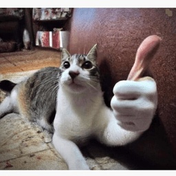 Quagnard-GooberPack icon