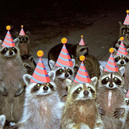 QueerBit-OkayCompany icon