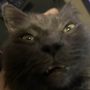 Qutzie-QJLC_Modpack icon