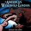 R0BERT-AmericanWerewolfSounds-2.1.0 icon