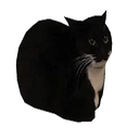 R34Gang-LethalCompanyModpack icon