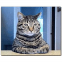 REPOSAM-Sam_Repo_Pack icon