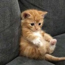 RLOW-RLOWmodpack icon