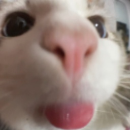 RXNDMZ-Suits4Friends icon