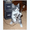 RabiosaStudios-Paco_Skins icon