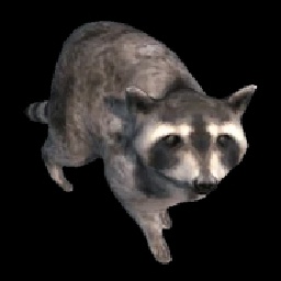 Raccoon_Zone-RaccoonCompany icon