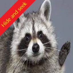Raccoons-Hide_and_Seek icon