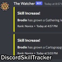 Ragnarok-DiscordSkillTracker icon