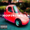 RanchMods-HopIndIBilen icon