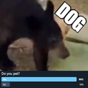 RaptureAwaits-CanIPetThatDog icon