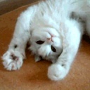 RareHyperIon-Goof_Modpack icon