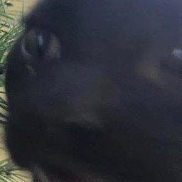 RatherSmashing-GamerMusic icon