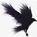 Ravenis-LaRavenia icon