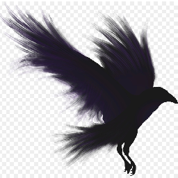 Ravenis-LaRavenia icon