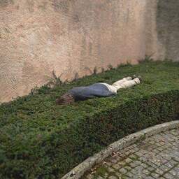 RavensQueen-RavensSurvivors icon