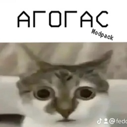 Raznoobrazie-Agogas_Modpack icon